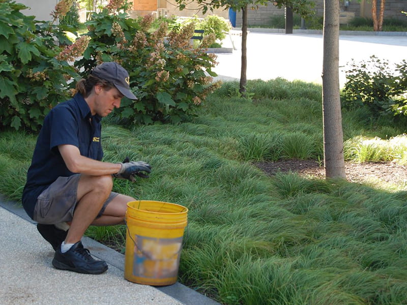 drexel grounds employee working