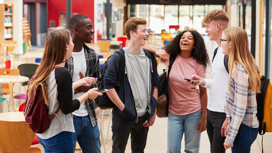 Group of teen boys and girls talking in a library