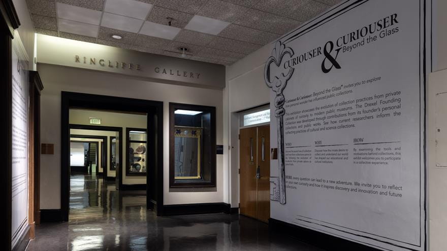 The hallway entrance to &#39;Curiouser and Curiouser&#39;